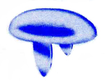DS 1816